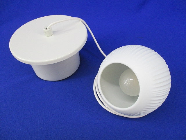 LEDペンダントライト(温白色)(別注品) DPN-41765YG