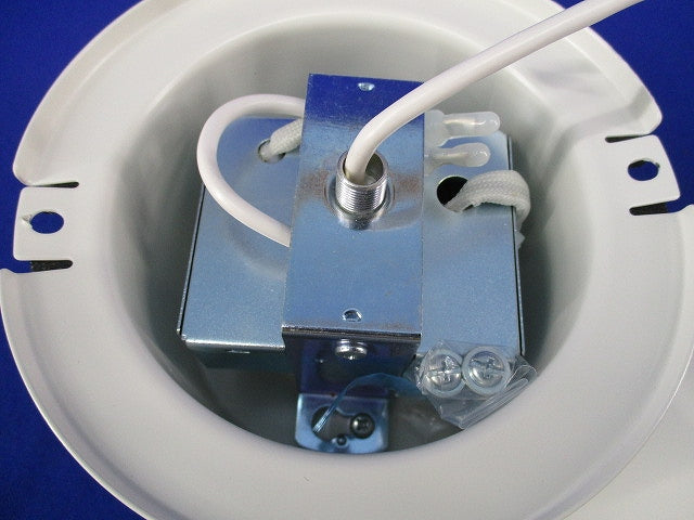 LEDペンダントライト(温白色)(別注品) DPN-41765YG