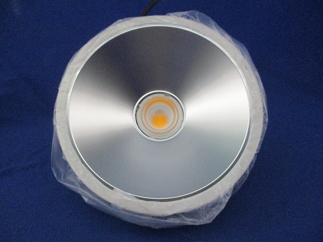 LEDダウンライトφ300(電球色)(電源ユニット別売) NDN88918S