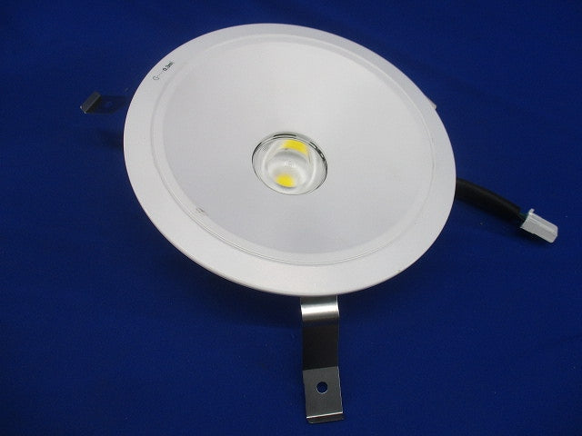 LEDダウンライトφ175(昼白色)(キズ・汚れ有) NDN28705W