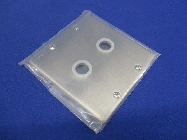 新金属大穴電話線プレート(取付枠付)2連(2枚入)(新品未開封)National WN7562