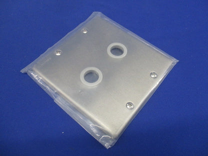 新金属大穴電話線プレート(取付枠付)2連(2枚入)(新品未開封)National WN7562