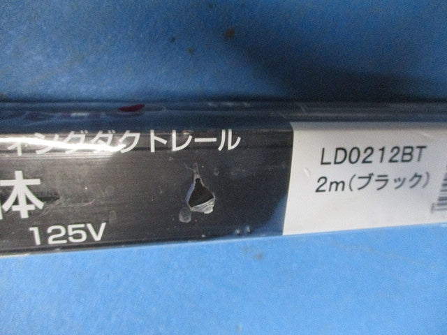 ライティングダクトレール(切断品約1m×2個入)(ブラック) LD0212BT