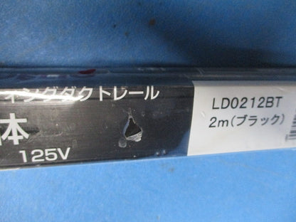 ライティングダクトレール(切断品約1m×2個入)(ブラック) LD0212BT