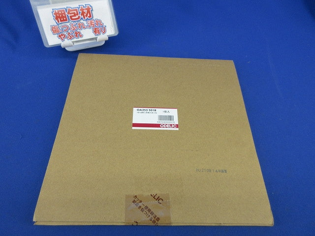 B級 誘導口誘導灯表示板 表示パネル(パネルのみ本体別売) OA253501B