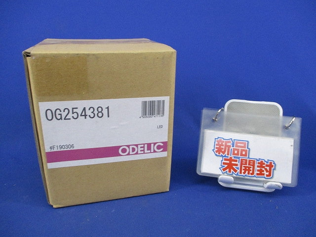 LEDブラケットライト(電球色)(新品未開梱) OG254381