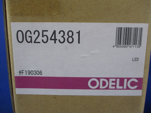 LEDブラケットライト(電球色)(新品未開梱) OG254381