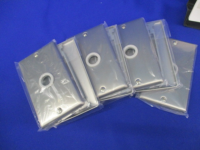 大穴電話線プレート(混在10枚入) National WN7561