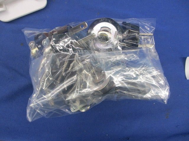 接地15Aキャップ混在セット(コードグリップ付)(10個入)National WF7011