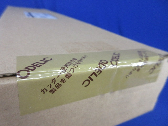 LEDブラケットライト(昼白色)(新品未開梱) OB255243R