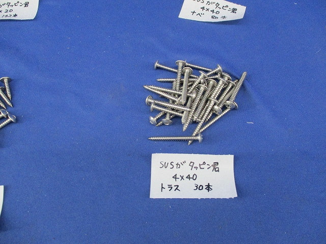 タッピングビスセット(ステンレス)(混在311本入) 型番不明