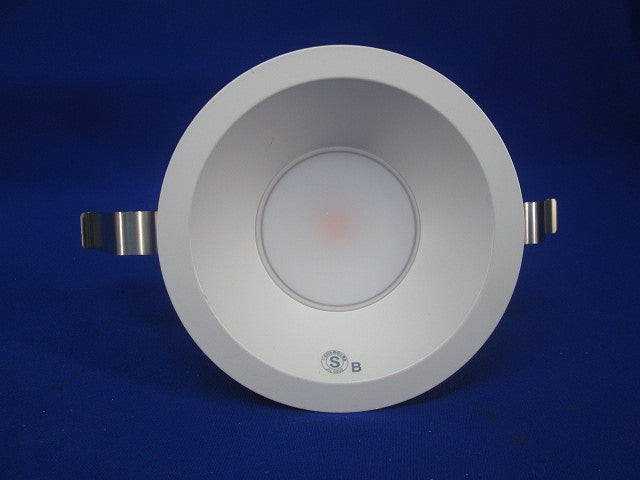 LEDダウンライト φ100 (電球色) DDL-5102YWA