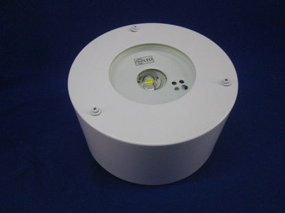 LED非常用照明器具(昼白色)(17年製) NNFB93106