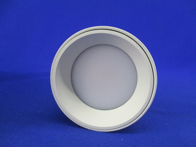 LEDスポットライト(電球色) DSL-5396YWG