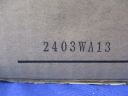 LED小形投光器(新品未開梱) LEDS-10909NN-LS9