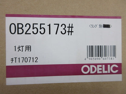 LEDブラケット(ランプ別売)(新品未開梱) OB255173