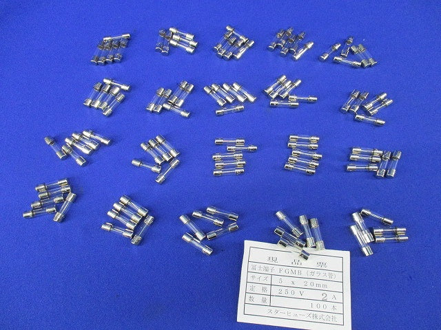 管形ヒューズ 250V2A(100本入)(OEM商品) FGMB