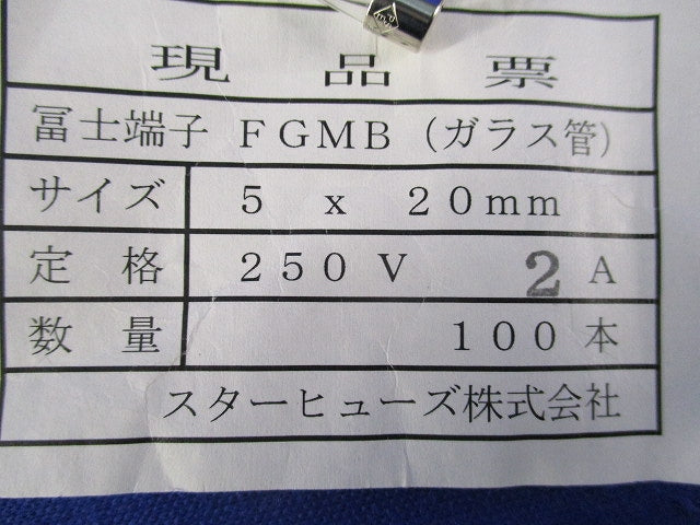 管形ヒューズ 250V2A(100本入)(OEM商品) FGMB