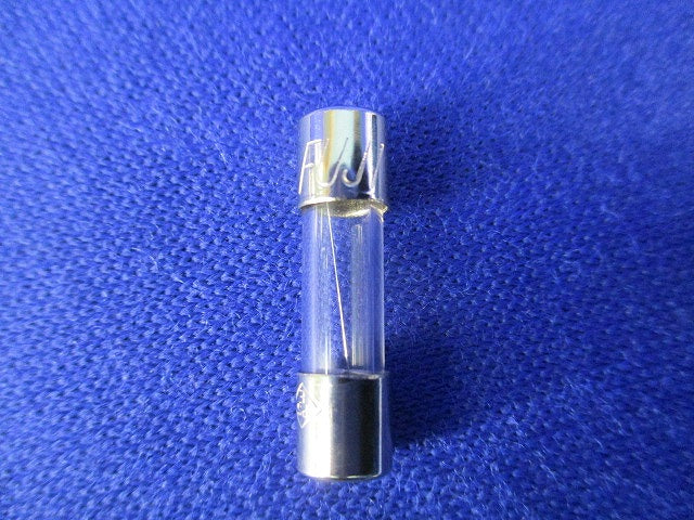 管形ヒューズ 250V2A(100本入)(OEM商品) FGMB