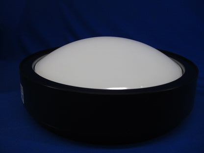 LED非常用シーリング階段灯(電球色)(オフブラック)(24年製) NWCF11501CLE1