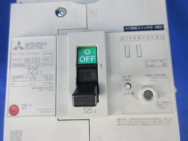 ノーヒューズブレーカ 3P125A NF250-NCV