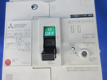 ノーヒューズブレーカ 3P125A NF250-NCV