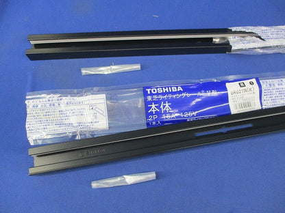 ライティングレー1m(黒)2個入 DR0211N