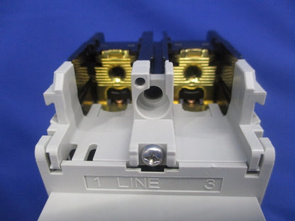 一般配線用 漏電遮断器 -2P030 EW32AAG2P30AAC440V