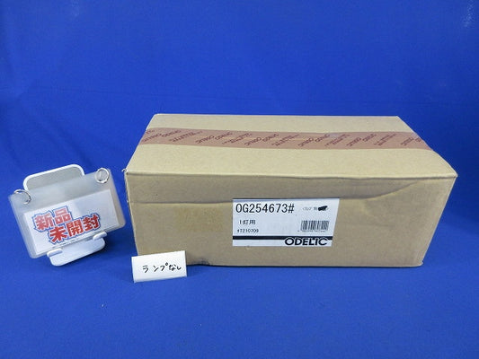 LEDポーチライト(新品未開梱)(ランプなし) OG254673