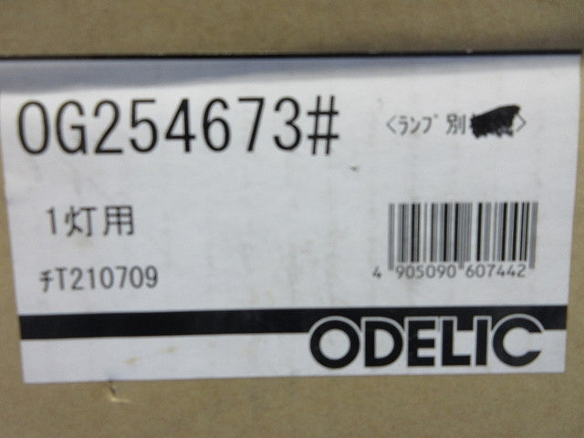 LEDポーチライト(新品未開梱)(ランプなし) OG254673