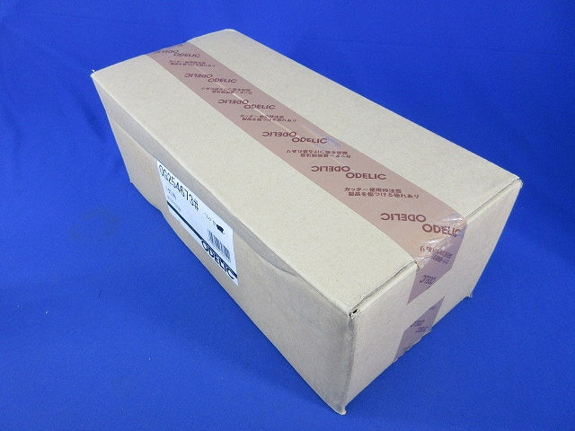 LEDポーチライト(新品未開梱)(ランプなし) OG254673