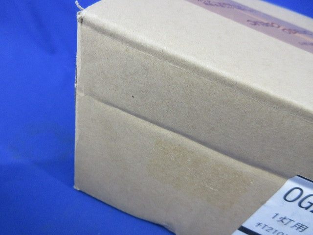 LEDポーチライト(新品未開梱)(ランプなし) OG254673