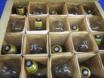 耐震ランプ 110V100W E26(25個入) 型番不明