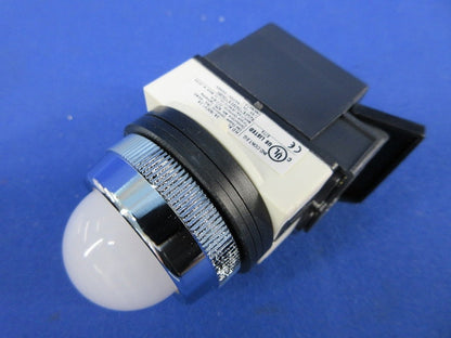 パイロットライト φ30(白) A30ILT100 LE