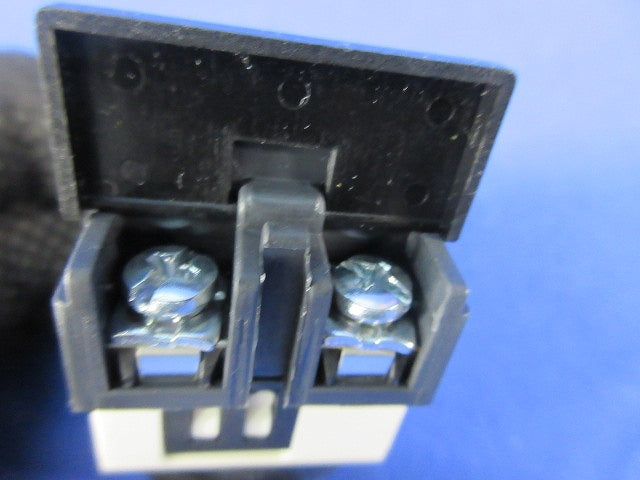パイロットライト φ30(白) A30ILT100 LE
