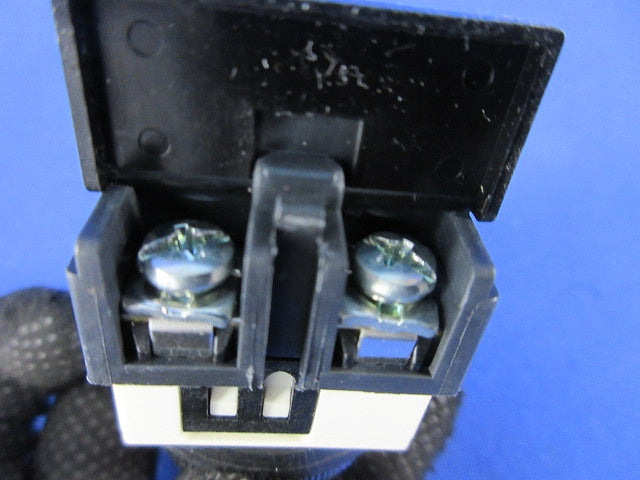 パイロットライト φ30(白) A30ILT100 LE