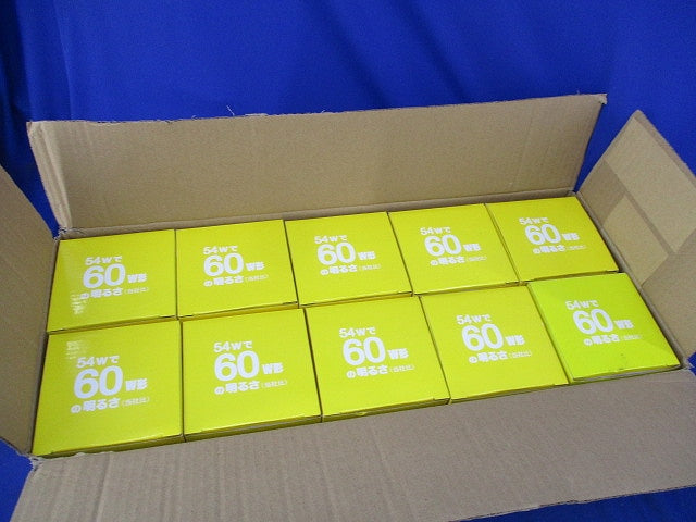 ホワイト電球E26(10個入) TC-GW100V54WG95 1P