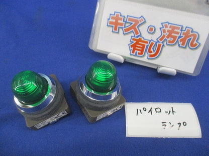 パイロットライト(2個入)(緑)(キズ・汚れ有) APN