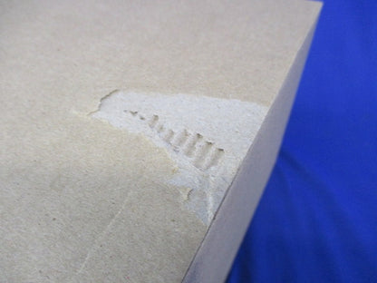 スイッチング電源 2904602 入力AC100-240V 出力DC24V 20A QUINT4-PS