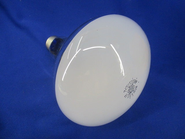 屋外投光用アイランプ 散光形200W形 E26 RF110V180W