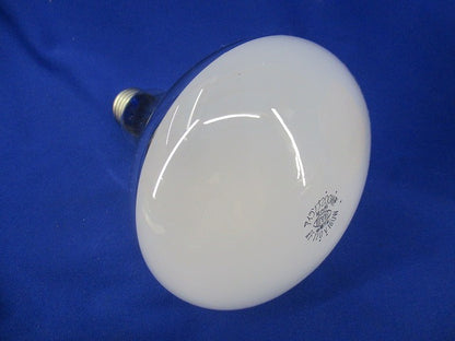 屋外投光用アイランプ 散光形200W形 E26 RF110V180W