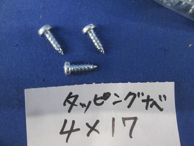 ナベタッピングセット(混在100本入×10計1000本入) 4×17他