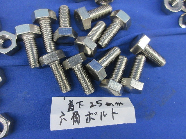 M10 六角ボルト 六角ナット ワッシャー等セット(ステンレス)(混在120個以上入) M10他