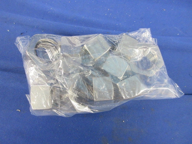 六角ナット(ステンレス)(10個入) M24