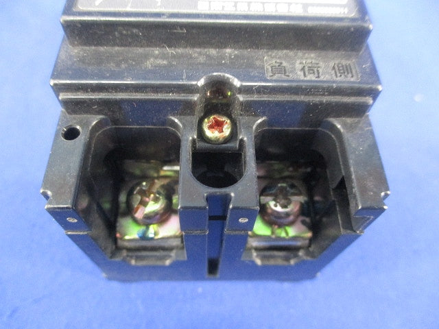 漏電ブレーカ2P2E20A GE52C