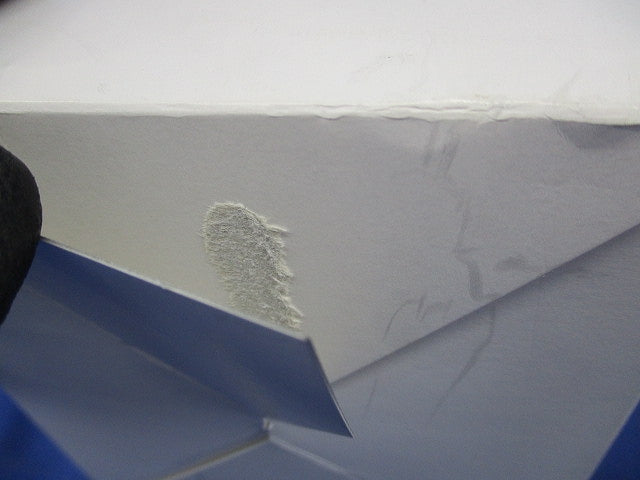 2連用ブランクプレート(10個入)(ピュアホワイト) NKP-0UF