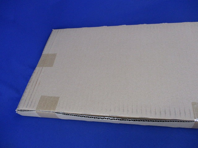 誘導灯リニューアルプレート壁直付型B級BH形(新品未開梱) FK21747C