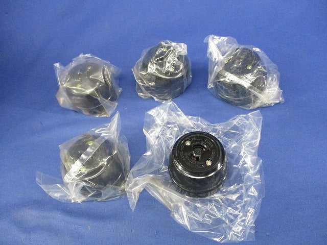 引掛形露出コンセント(5個入) S40