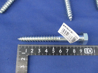 メッキ コーチスクリュー混在セット(11個入) 34-015他