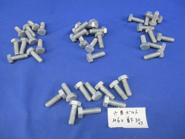 六角ボルト(40本入)亜鉛メッキ M6×30